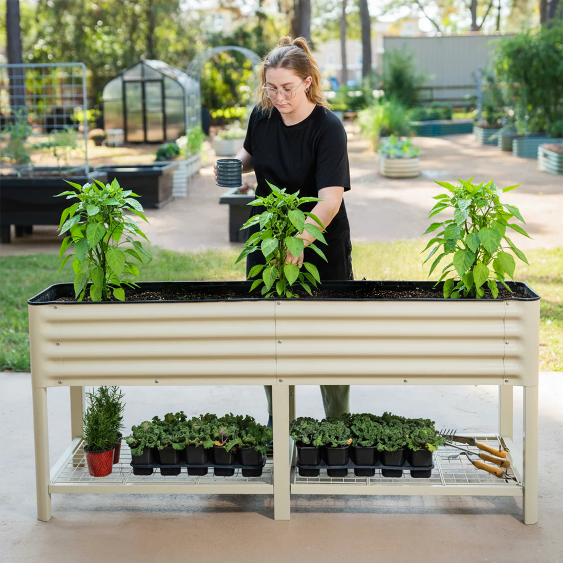 Elevated-Garden-Bed-V-Series-2foot-by-6foot-lifestyle-pepper-plants